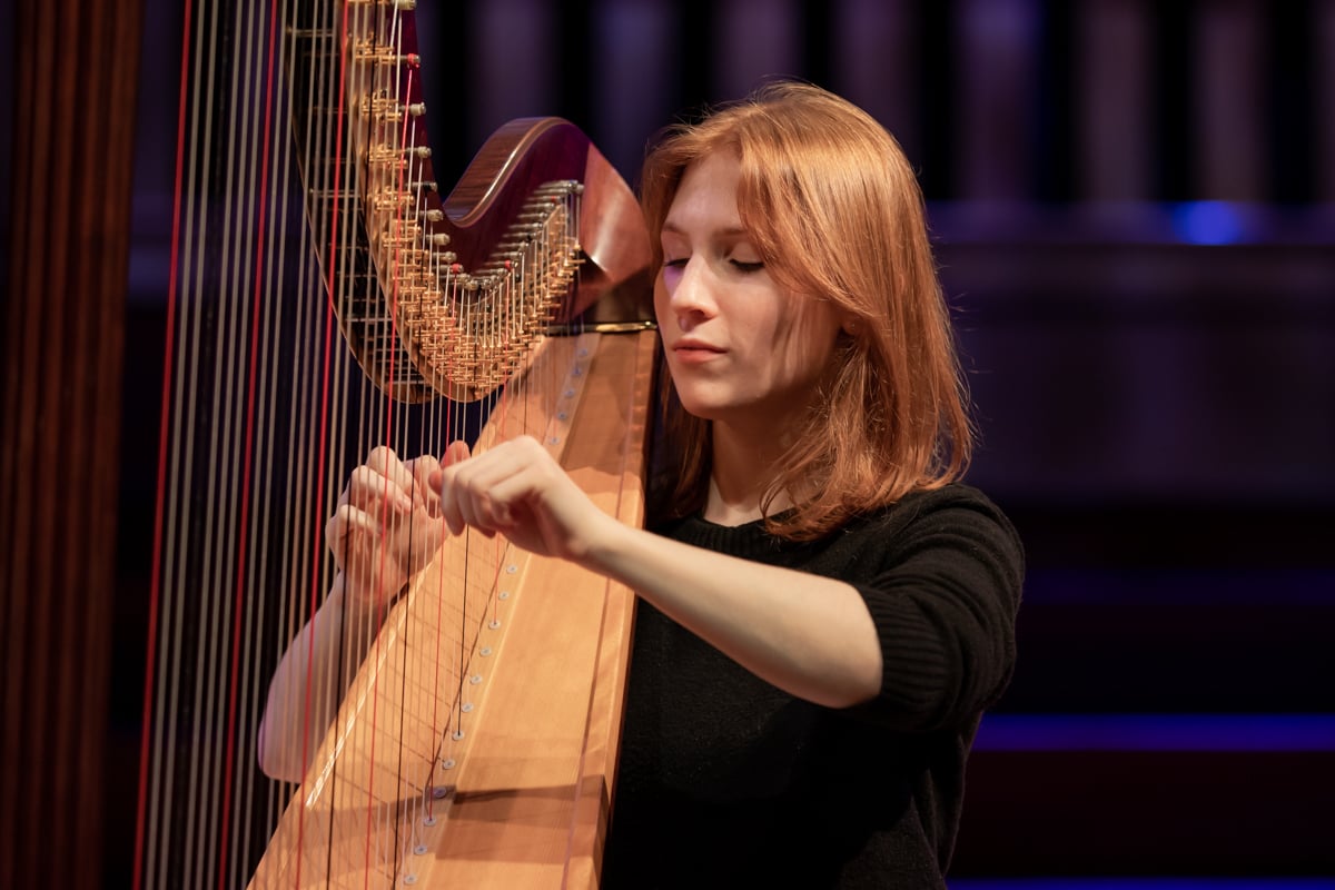 Evelien Vaneysendeyk - Harp